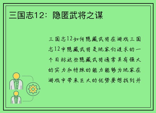 三国志12：隐匿武将之谋